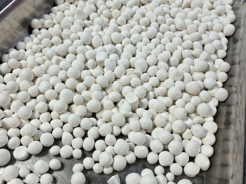 沖床工廠(chǎng)慶元宵